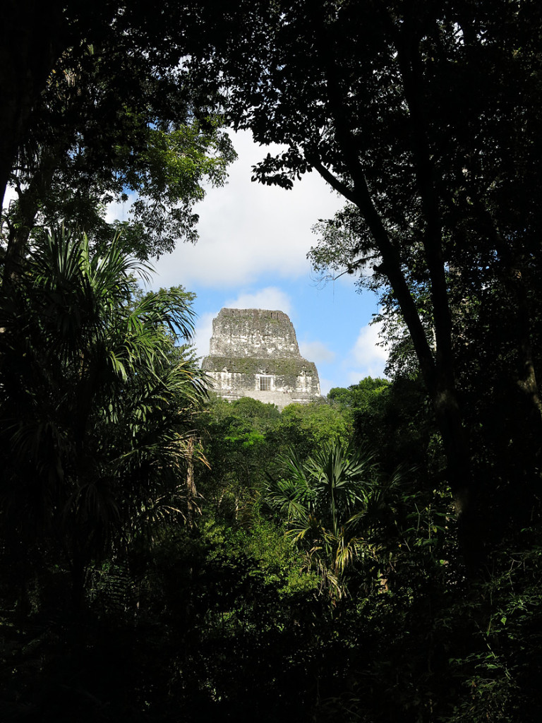 Tikal mitten in Dschungel